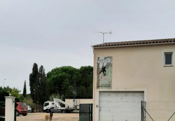 élagage nîmes, abattage, rognage de souche, debroussaillage