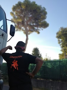 SARL Abatout place picture